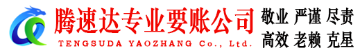 龙文要账公司